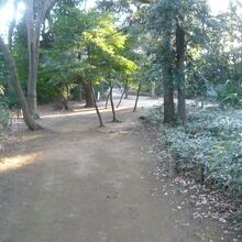 新郷貝塚のある若宮公園の様子です。森林が主体です。