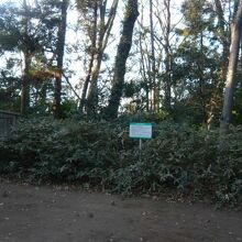 若宮公園の中に、新郷貝塚の解説板が立てられています。
