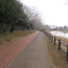 遊歩道があります