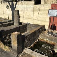 水が湧いています。