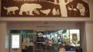 観光情報もお土産も