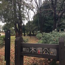 木場公園です。