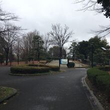 ジョギングコースです。