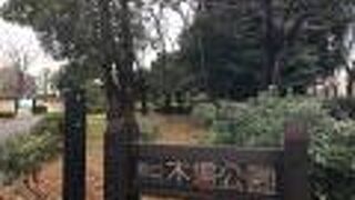 木場公園でジョギング！木場公園大橋を渡って北へ南へ