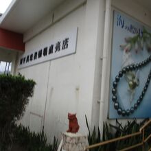 琉球真珠川平本店