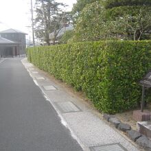 あまりにも目立たない場所にひっそりと佇んでいます…。