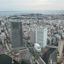 スカイガーデンからは新しい横浜市庁舎も間近に見える