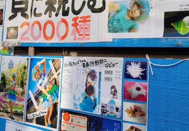 世界の貝の博物館 貝広物産店 クチコミ アクセス 営業時間 藤沢 江ノ島 フォートラベル 世界の貝の博物館 貝広物産店 クチコミ アクセス 営業時間 藤沢 江ノ島 フォートラベル