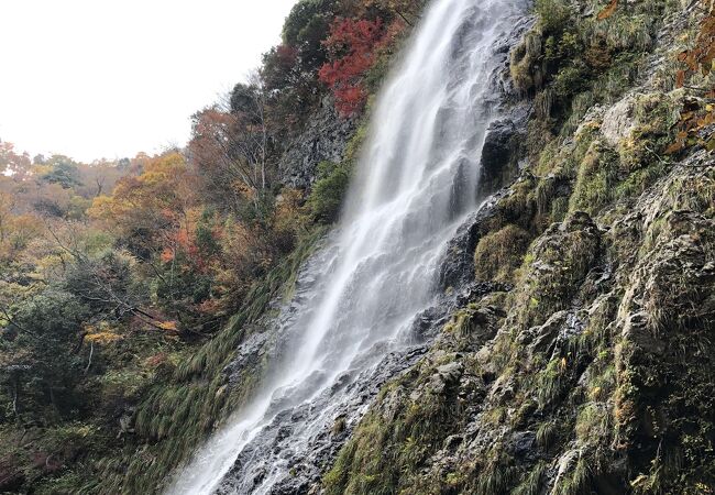 養父のおすすめ観光スポット クチコミ人気ランキングtop フォートラベル 兵庫県 養父のおすすめ観光スポット クチコミ人気ランキングtop フォートラベル 兵庫県