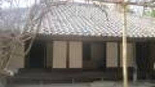 花の時期に訪れるのが一番理想的だと思います