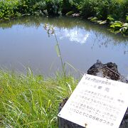 竜宮十字路近くにある竜宮カルストと呼ばれる池塘は満々と水をたたえてはいるが、流れ出る所はありません。
