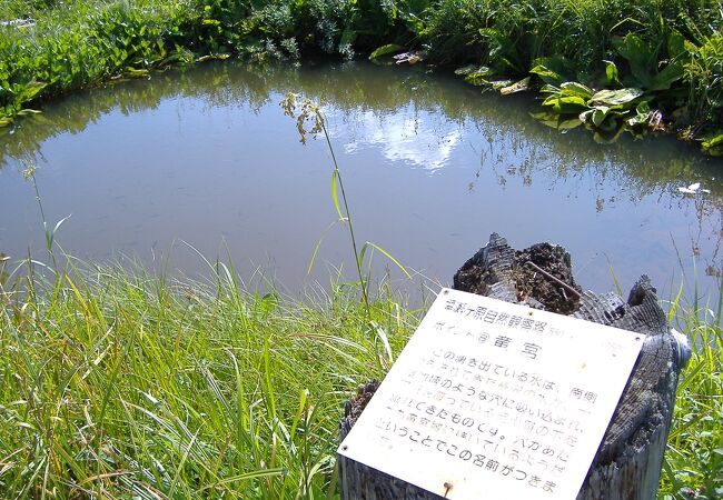 竜宮十字路近くにある竜宮カルストと呼ばれる池塘は満々と水をたたえてはいるが、流れ出る所はありません。