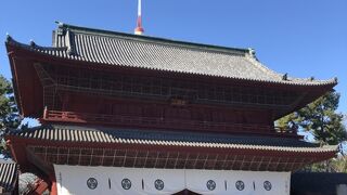 東京タワーを背景に