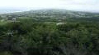 巻貝と少年とヤギとセミの幼虫