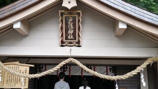 新しい感じで意表を突かれた