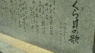 夏は賑わいます