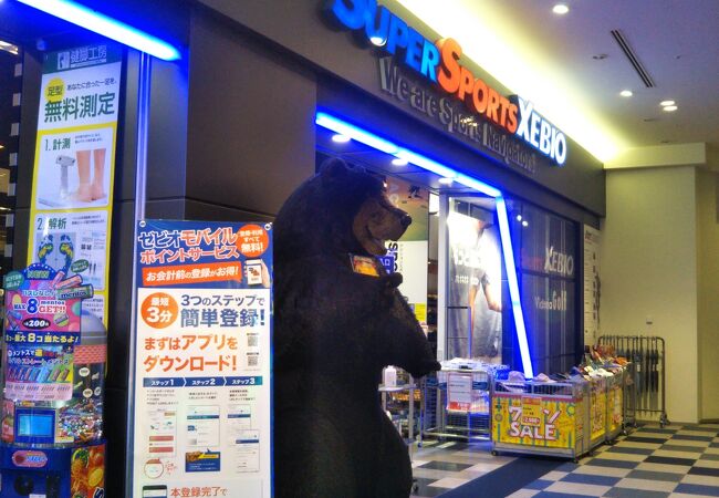 スーパースポーツゼビオ ららぽーと豊洲店 クチコミ アクセス 営業時間 豊洲 フォートラベル スーパースポーツゼビオ ららぽーと豊洲店 クチコミ アクセス 営業時間 豊洲 フォートラベル