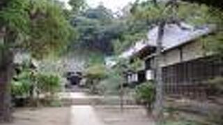 正月に中に入ったことがありますが、普段は入れません。