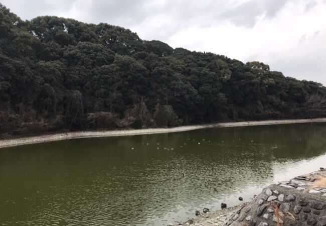 白鳥陵古墳 クチコミ アクセス 営業時間 富田林 羽曳野 フォートラベル 白鳥陵古墳 クチコミ アクセス 営業時間 富田林 羽曳野 フォートラベル