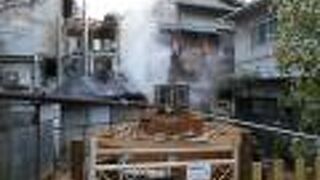 ７つの源泉のひとつ