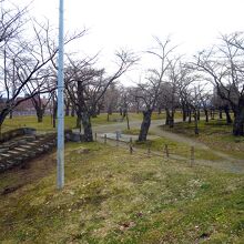 盛岡城址公園