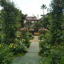 港の見える丘公園 ローズガーデン