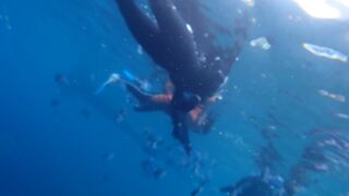 ダイビングツアー