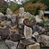 褐色の温泉