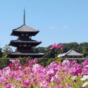 日本最古の三重塔がある『法起寺』