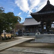 ムクロジ（埼玉県指定天然記念物）