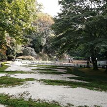 アジサイがないと少し寂し気