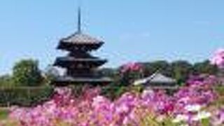 日本最古の三重塔がある『法起寺』
