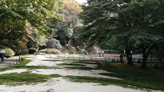 砂の小さな山などがあります