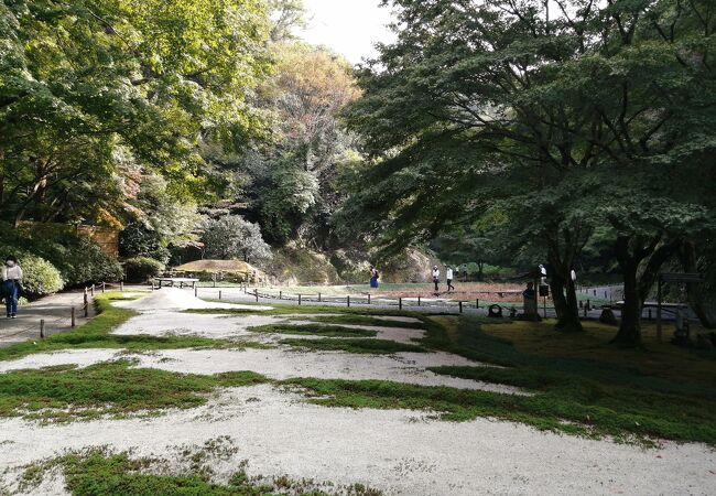 明月院本堂後庭園 クチコミ アクセス 営業時間 鎌倉 フォートラベル 明月院本堂後庭園 クチコミ アクセス 営業時間 鎌倉 フォートラベル