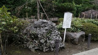 かなり敷地は広い