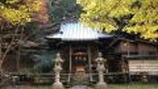 温泉の守護神として崇められてきた