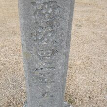 この位の標高なので、お子様でも簡単に登れますね。