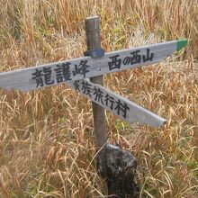 道標もきちんと整備されていて安心して歩けます