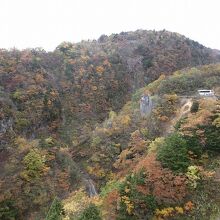 緑、赤、黄,いやびっくり