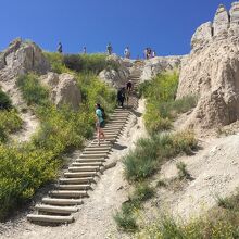 ノッチトレイル