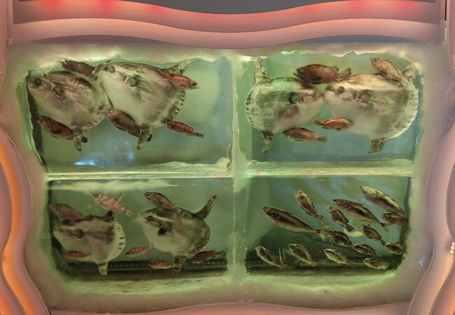 水族館ではないよね