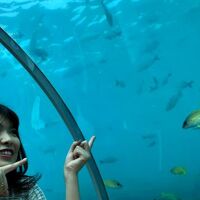 海中レストラン