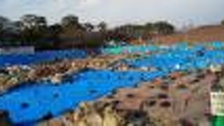 発掘が行われている