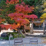 自然に囲まれた良い気に満ちた神社