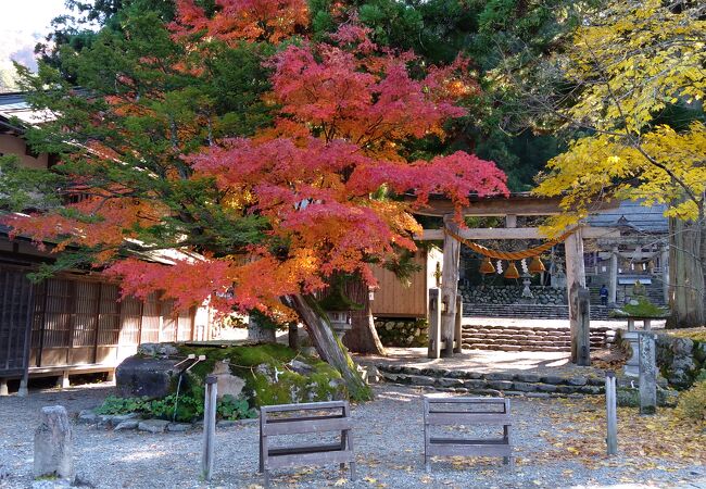 白川八幡神社 クチコミ アクセス 営業時間 白川郷 フォートラベル 白川八幡神社 クチコミ アクセス 営業時間 白川郷 フォートラベル
