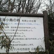 八千代緑ヶ丘駅近く、自然たっぷりでバードウォッチングや休憩に便利な公園