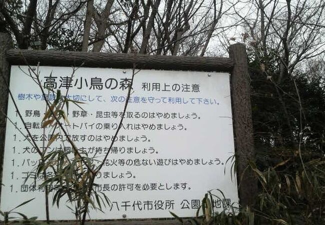 八千代緑ヶ丘駅近く、自然たっぷりでバードウォッチングや休憩に便利な公園