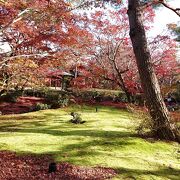 天龍寺の南にある紅葉が美しいスポット