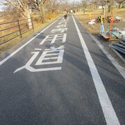 嵐山～奈良間のサイクリング用道路