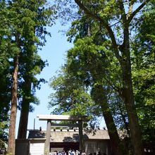 内宮の社殿の様子